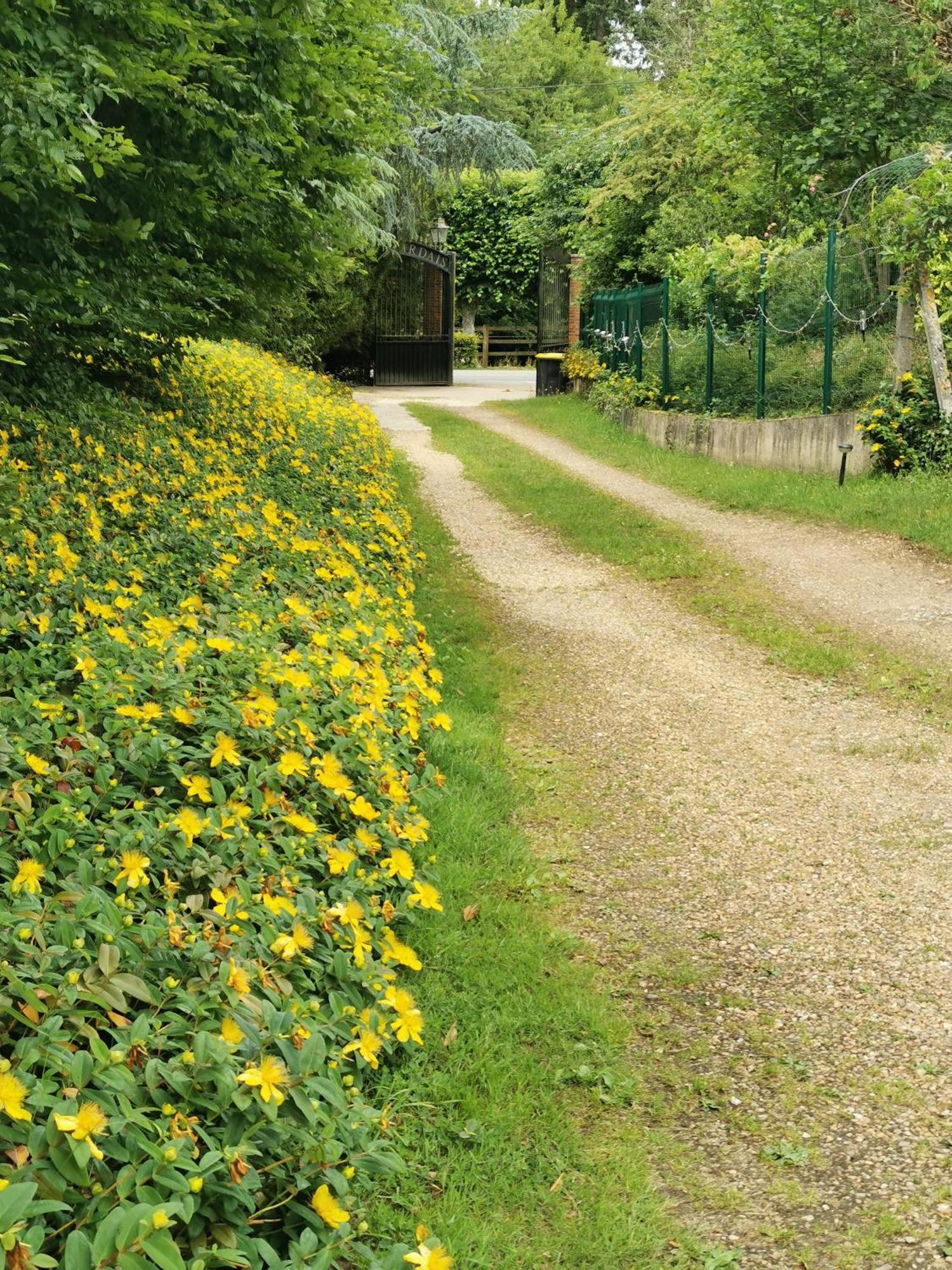 Domaine De Tardais, Ideal Famille Avec Piscine Et Nombreux Loisirs Senonches Exterior foto